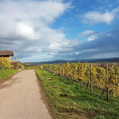 Gaestezimmer In * 阿斯帕赫