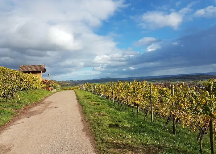 Gaestezimmer In * Aspach